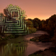 Illustration for article titled Light transforms trees into floating geometric structures